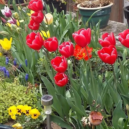 Daire Stadtmitte-iserlohn Iserlohn