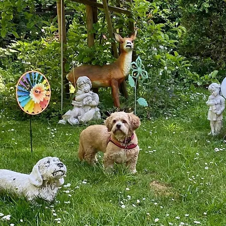 Stadtmitte-iserlohn דירה