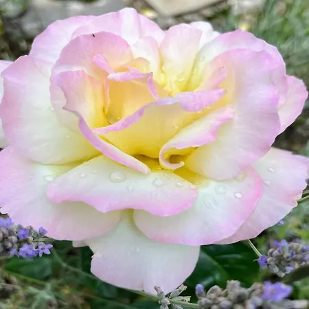 דירה Stadtmitte-iserlohn איסרלון