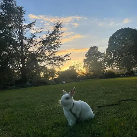 Stadtmitte-iserlohn * Iserlohn