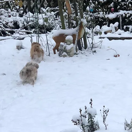 Stadtmitte-iserlohn *