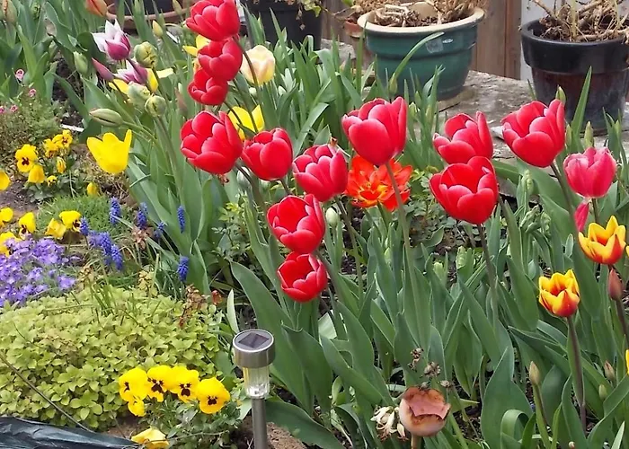 דירה Stadtmitte-iserlohn איסרלון