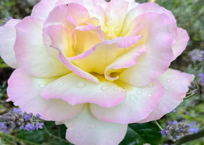 דירה Stadtmitte-iserlohn איסרלון