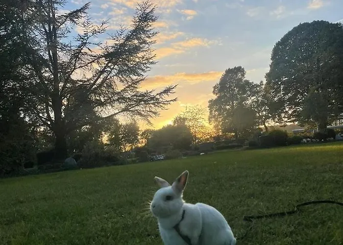 Stadtmitte-iserlohn * איסרלון