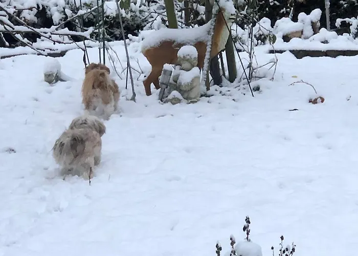 Stadtmitte-iserlohn *